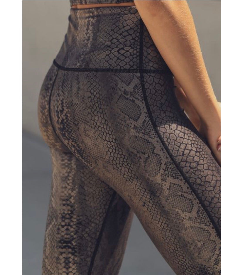 Python Snake  Print Pants
